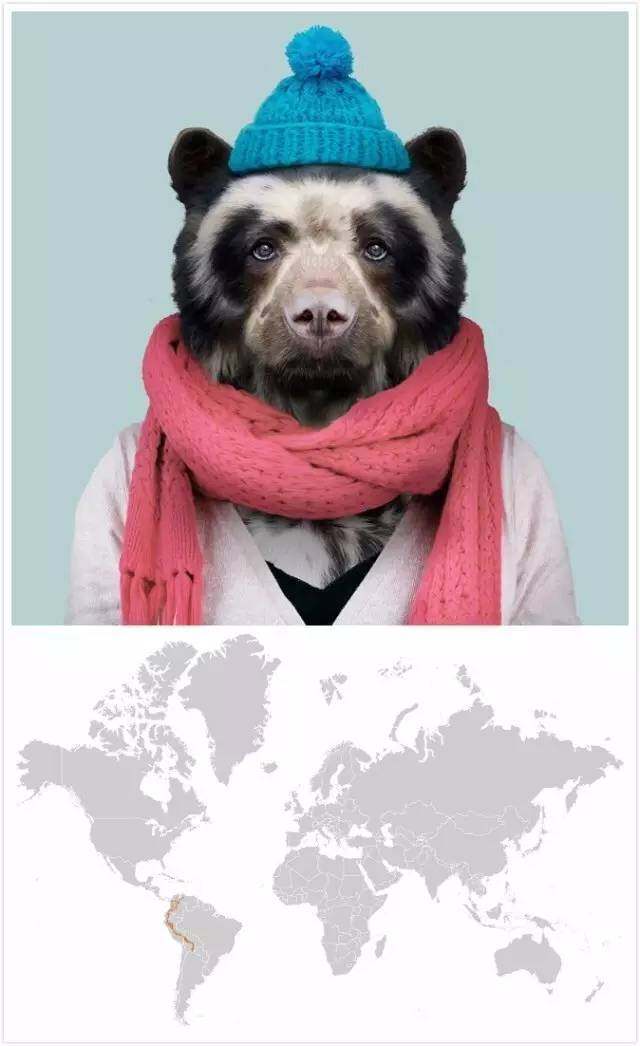 淘宝造物节#人面兽心