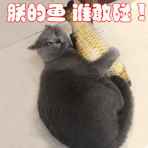 Cat toys cat mint fish cat toys cat sticks crucian carp pillow simulation plush cat supplies fish toys