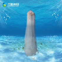Lanxin fishing gear sea fishing mullet net thickened white silk three-layer fishing net fish net floating net wire mesh hanging net sticky fishing net