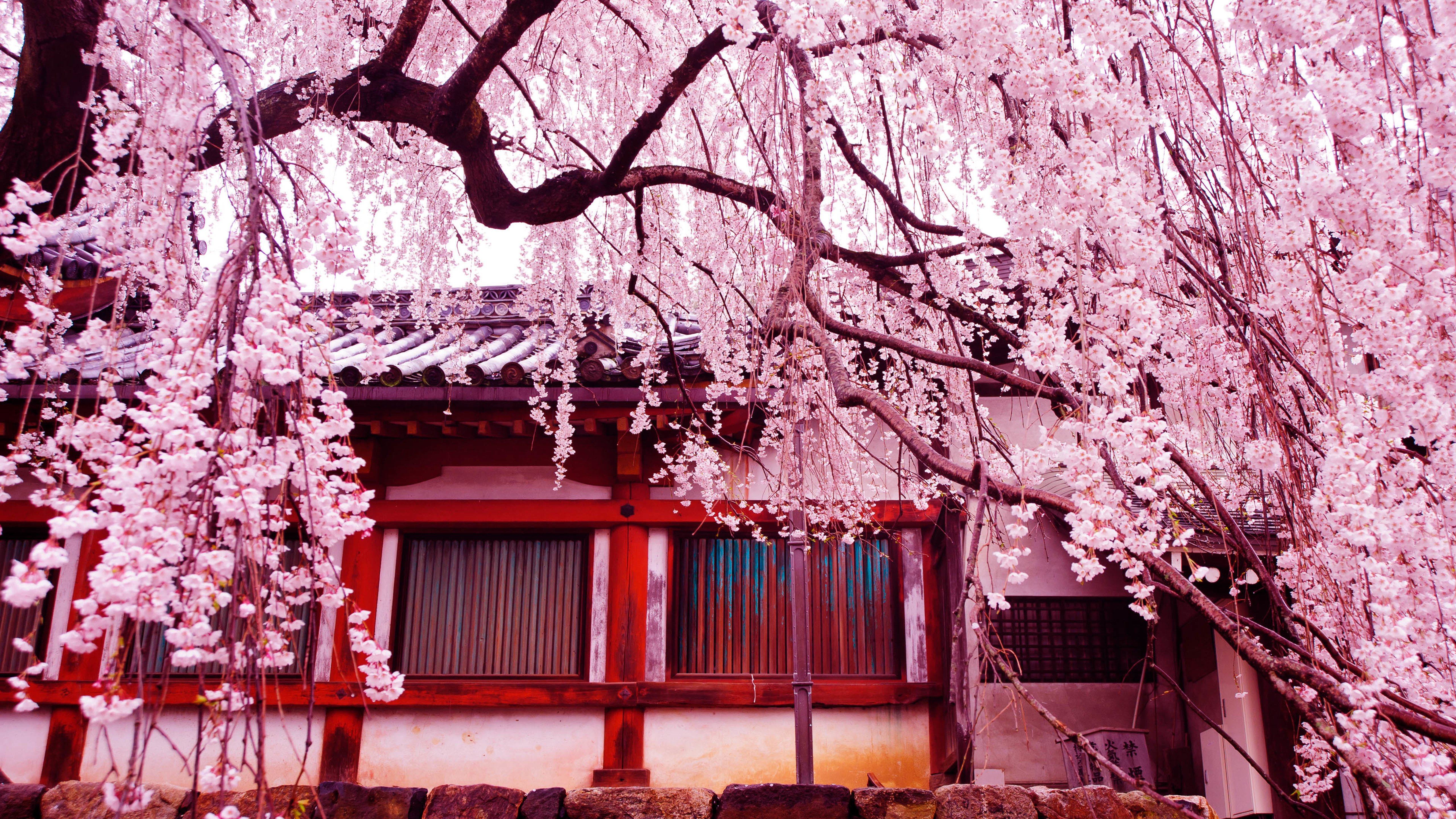 梦花火~2018春夏新款飘逸亮丝雪纺衬衣v领印花大摆长袖仙女连衣裙