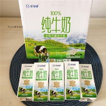 Xinjiang Golden Green Pure Milk 200ml * 12 boxes of 20 boxes of full-fat sterilized milk fresh milk without adding