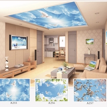 3d ceiling wallpaper Bedroom living room roof blue sky and white clouds 5d mural Shopping mall beauty salon ceiling mural