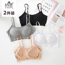 Cic Modal with chest pad bra-free Cup suspender small vest underwear wrapped chest bottom female spring and summer