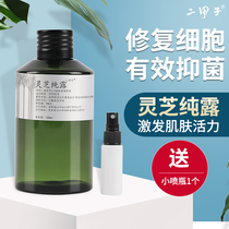 HIGH CONCENTRATION GANODERMA LUCIDUM SATURATED PURE DEW 150ML