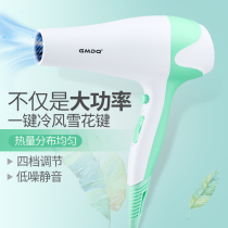 2021 new hair dryer household size power barber shop student dormitory with negative ion hot and cold air tube not