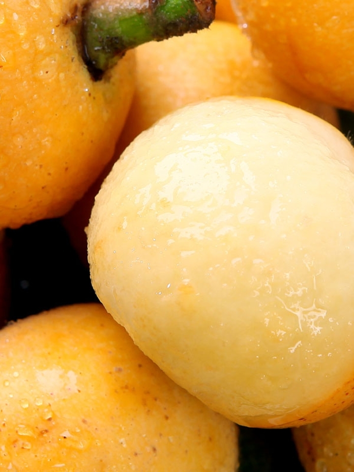 超甜 东山白玉枇杷苏州白沙