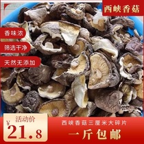Xijing Shuyu Extra Shumping Mushroom Large Fragments 3 cm or more farmers Bulk Shuyu Rootless Mushroom