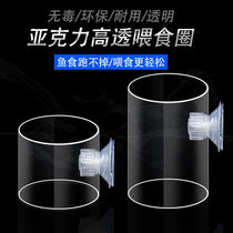 Fish tank feeder acrylic transparent feeding circle ornamental fish fish feed anti-floating feeding ring