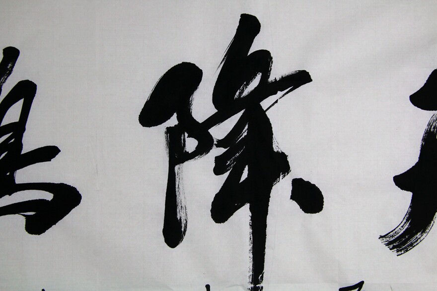 张树宝 《天降鸿运》