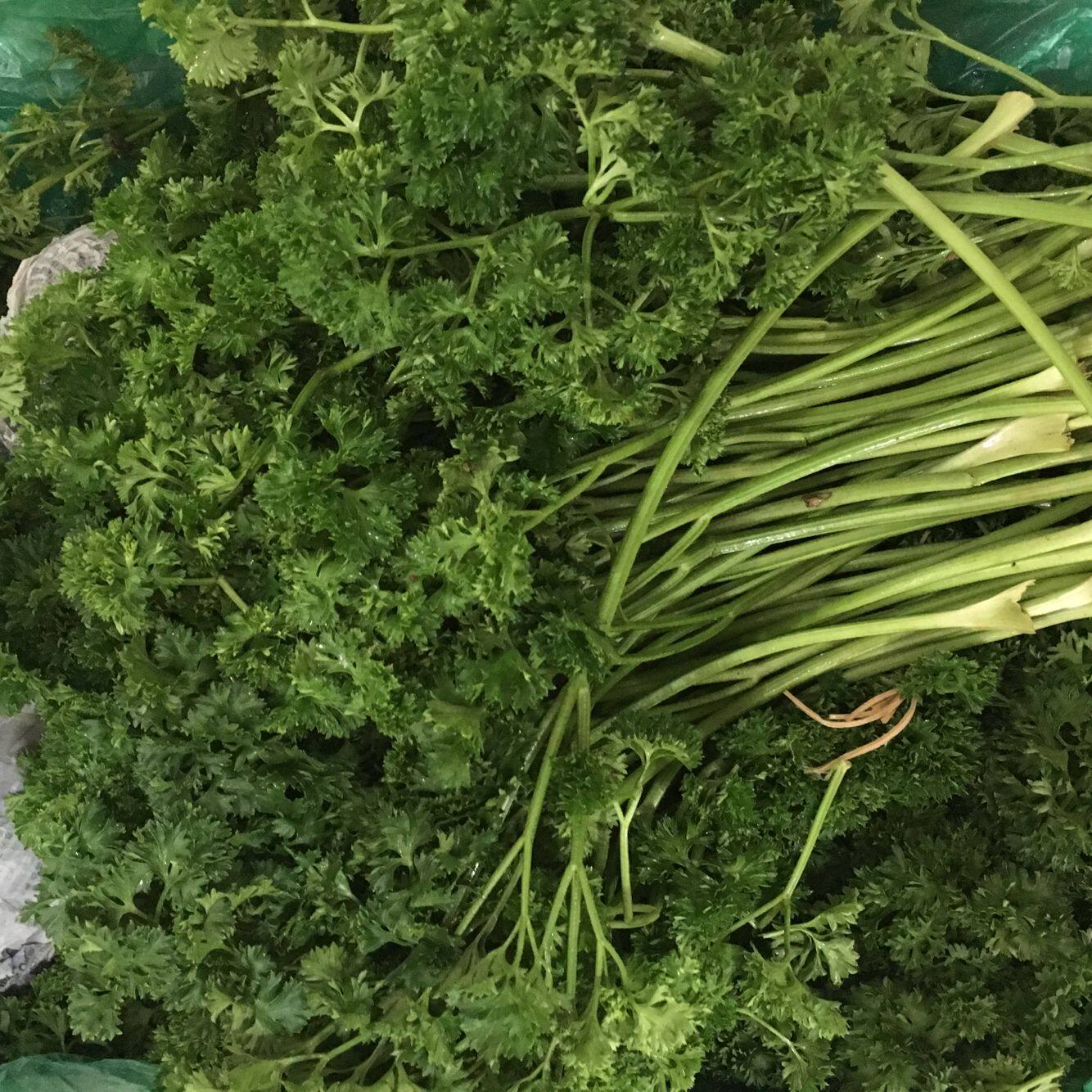 【老一生鲜】 荷兰芹 新鲜西餐蔬菜 蕃茜 法香/250g