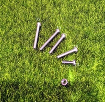 Stainless steel screw nut M3 * 10 -- 35 small stomach Ant House