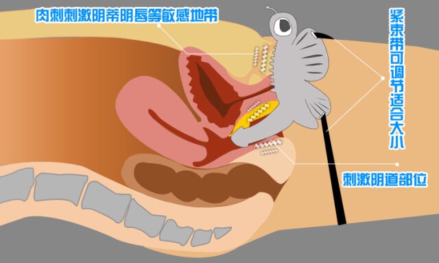 穿戴式遥控蝴蝶情趣玩具女用自慰性爱机器玩具12频率遥控穿戴阳具