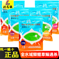 Liu Zhiqiang one project crucian carp Jiangsu Zhongke crucian carp small wild fish Yellow Tail bait black pit