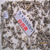 Daquan of cold-backed herbs White pigeon dung Pigeon dung Home pigeon dung Left Panlong 48 yuan 500 grams