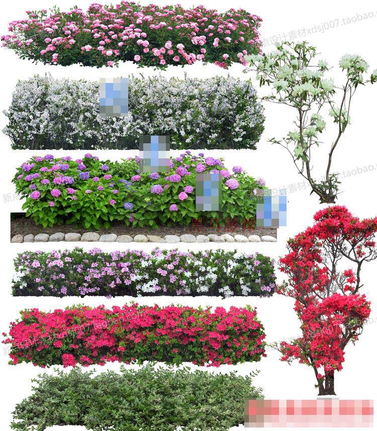 ps植物素材库,ps植物素材,ps素材库_大山谷图库