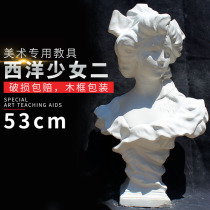 Western girl two plaster art teaching aids plaster head sculpture plaster sculpture sketch plaster head model