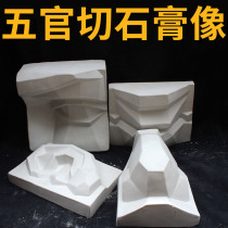 Five-character plaster art teaching aids Gypsum ornaments sketch plaster gypsum head sculpture plaster portrait model