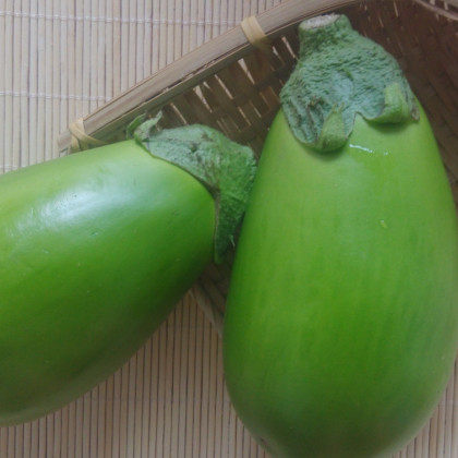 【天天特价】东北农家自种绿茄子蔬菜绿皮茄子新鲜青皮茄子5斤装