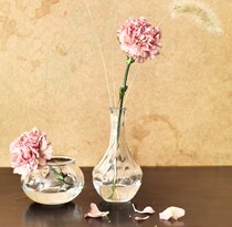 IKEA IKEA IKEA Villista glass vase hydroponic floral transparent floral windowsill Flower Arranging Decorative Pendulum