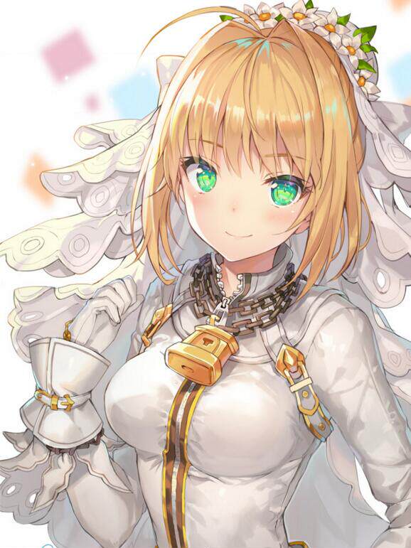 贵宾会员组免费下载王之殿下福利超鸡问题图包saber尼禄大合集