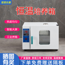 Electric thermal thermal thermostat culturing box Laboratory bacterial microbial abdominal permeability seed germinating tank QS