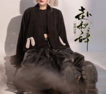 Spot to the autumn speech original soft autumn and winter daily wild Han element top