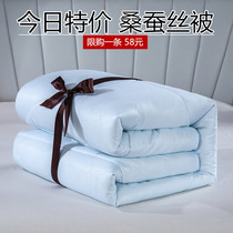 Silk quilt 100% pure mulberry silk 8 catties cotton winter quilt 6 catties spring and autumn quilt 4 catties air conditioners