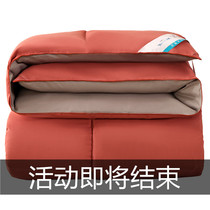 Hotel down quilt 95 white goose down winter quilt spring and autumn quilt warm and thick duck down quilt single double cotton quilt core in winter