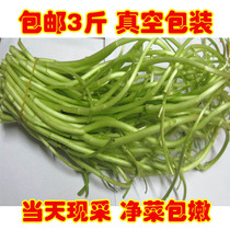 Artemisia reeds in October fresh vacuum farmers self-planted Nanjing Bagua Artemisia 1500 grams of quinoa