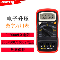 Binjiang BM500A Digital Insulation Resistance Tester Electronic Shock Meter 1000V Mega Resistance Meter Portable