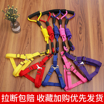 Dog traction rope Dog chain rope Large medium and small dog walking dog Pet collar Cat Teddy rope Pet supplies