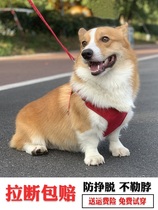 Dog traction rope Kirketedi Beaume Pet Supplies Flex Walk Dog Rope Dog Chain Sub Medium Size Small Dog Braces