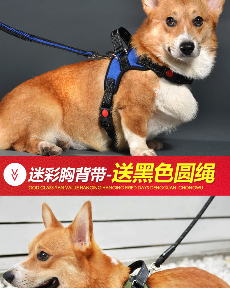 狗狗牵引绳中型小型犬遛狗绳子胸背带背心式宠物用品柯基泰迪狗链