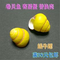 Natural Screw Shell Yellow Snail Screw Befish Resident Crab Replacement Shell Aquarium Specifications