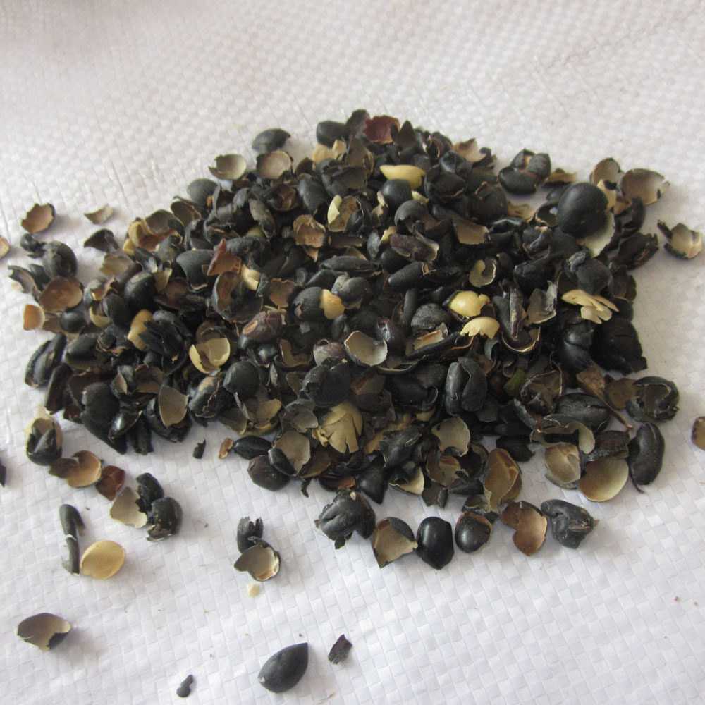 中药材黑豆衣 黑豆皮穭豆衣乌豆衣 同仁堂品质枕头枕芯 500g包邮