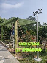 Embalming wood flower shelf Outdoor wood floor terrace Terrace Stairs Cool Kiosk Vineyard flower Box Grid Fence Protective Wall Wall gallery