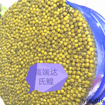 High-end original A-grade Dashi sturgeon roe 500g Ussuri River fresh sturgeon black caviar seed sauce Ready-to-eat aquatic products