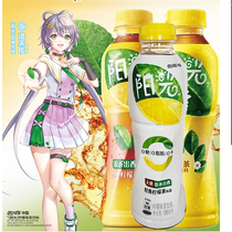 Multi-provincial Coca-Cola sugar-free tea drinks Sunshine lemon tea chrysanthemum plant drink 500ML * 12 bottles