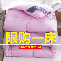 Duvet winter quilt thickened double quilt duvet 95 white goose down quilt core special clearance 8 10kg duck down quilt