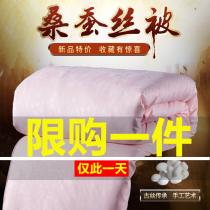 Silk quilt spring and autumn is mulberry silk quilt winter is thickened cotton air conditioning quilt core summer thin quilt