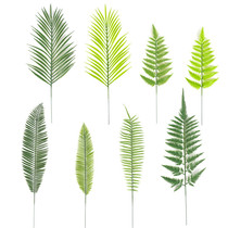 Monolithic simulation Persian Fern Phoenix Iron leaves loose tailed sunflower plastic green leaves single fake leaves wedding decorative leaves