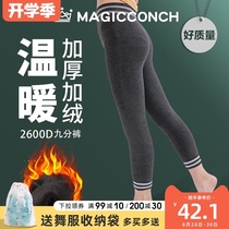 Spring and autumn plus velvet plus velvet girls leggings childrens outer wear nine-point socks children dance warm practice socks dance socks