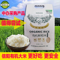 He Garden Organic Rice Henan Xinyang Sunshine Mountain Fresh Rice Gong Rice First Class Premium Edible Rice 2 5kg Bag