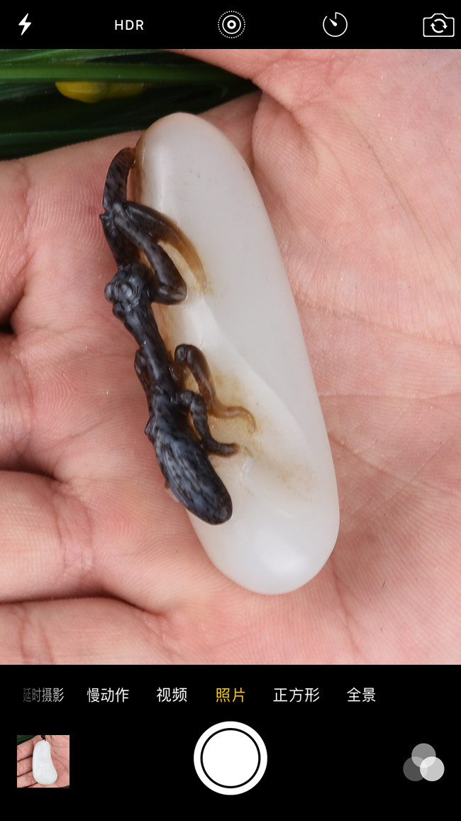 省级玉雕大师崔照乐作品 和田玉白玉 螳螂挂件 22.38g - 阿里资产