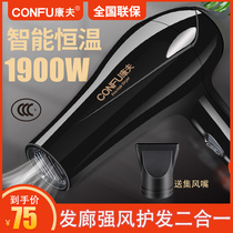 Kang Fu hair dryer hair care high power home temperature barber shop hair stylist dedicated dormitory student Blower