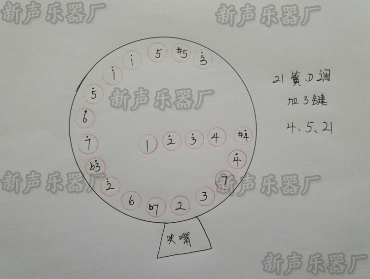 笙乐器 21簧笙21簧加键活斗扩音笙21苗笙 新声乐器厂家直销