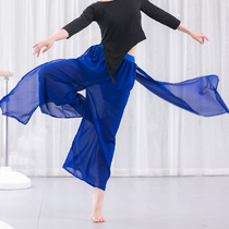 New Classical Dance Practice Pants Snowspun Skirts Pants Modern Dance Actresses Dancer Costumes Jazz Out of the Yoga Costume