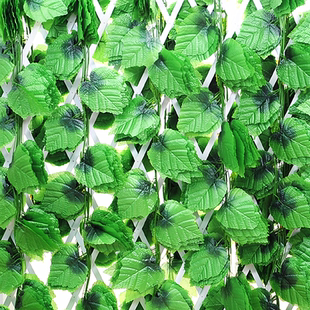 包邮加密仿真葡萄叶藤条假树叶藤蔓塑料假花花藤植物绿叶吊顶装饰图片