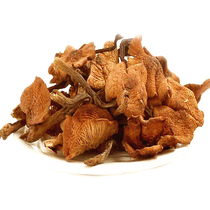 Hazelnut mushroom wild northeast Changbai Mountain farm home-grown chicken stewed mushroom matsutake dried wild fungus Jilin specialty