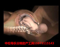 Fetal development model Baby model Pelvis model Intubation model Guide ball Guide frame Guide car Guide chair